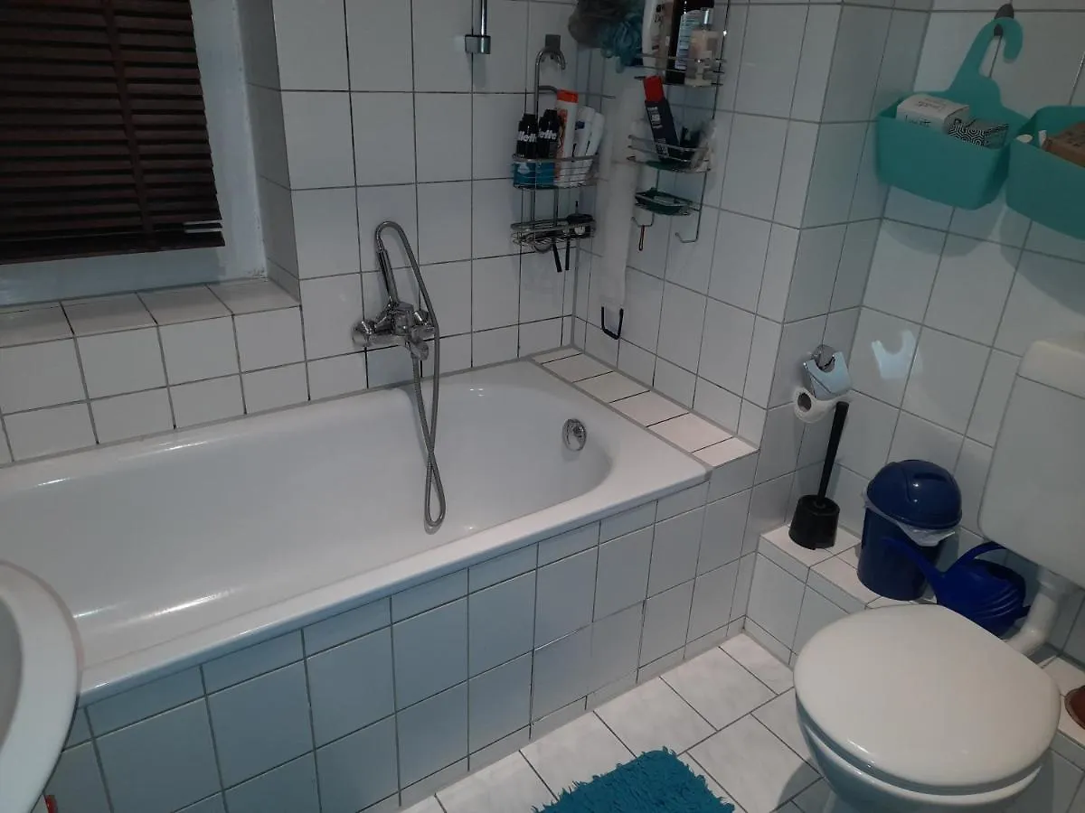 Gemutliches Zimmer In Stadtwohnung Dresden